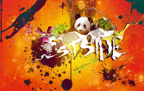 design: panda